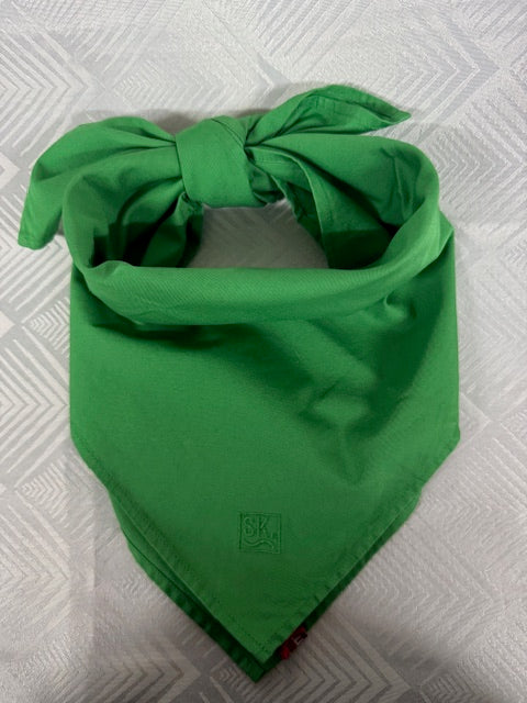 S.Kidman Parachilna Bandana