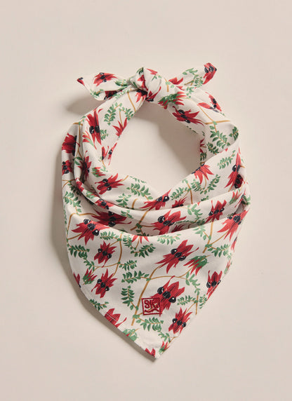 S.Kidman Parachilna Bandana