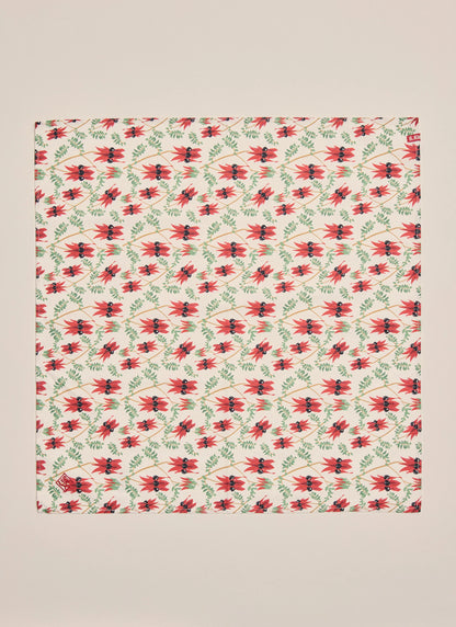 S.Kidman Parachilna Bandana