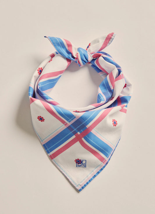 S.Kidman Parachilna Bandana