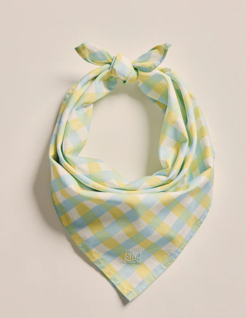 S.Kidman Parachilna Bandana