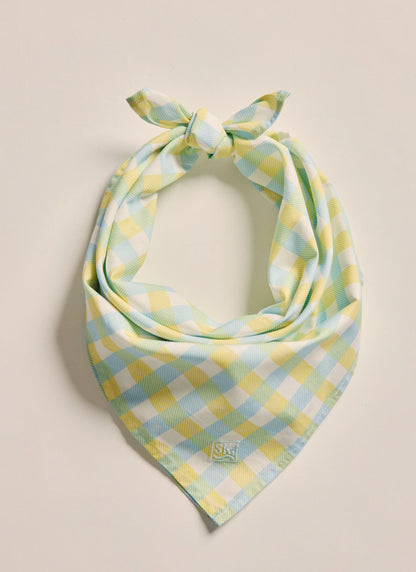 S.Kidman Parachilna Bandana