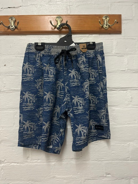 Carve Mens Volley Short