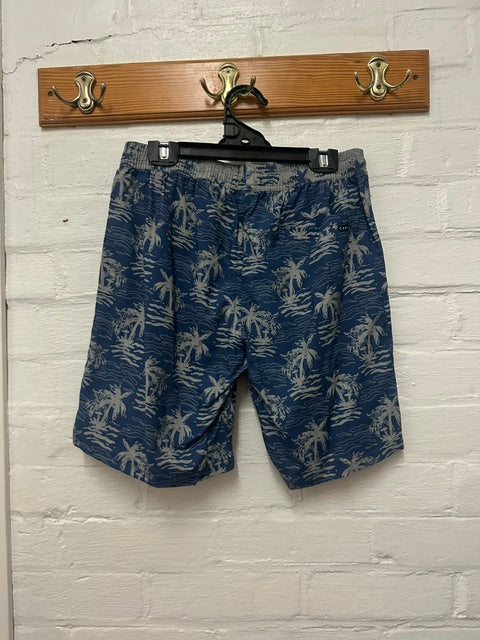 Carve Mens Volley Short