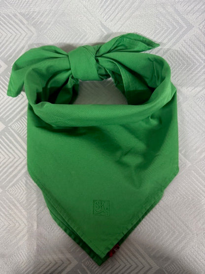 S.Kidman Parachilna Bandana