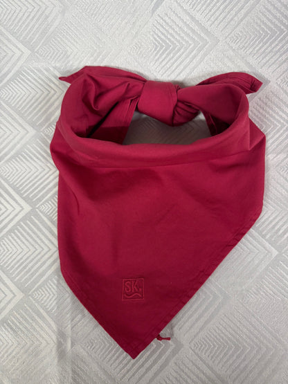 S.Kidman Parachilna Bandana